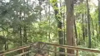 One Minute Vacation - Cabin in Forest
