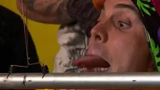The Electric Limbo - Jackass 3.5