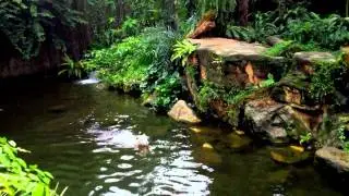 SingaporeZoo