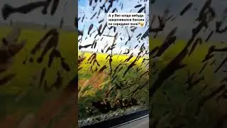 Когда бензин заканчивается в самый неподходящий момент 