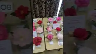 Flowers Galore