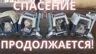 In Yakutsk, they're looking for someone to blame. Or a scapegoat?