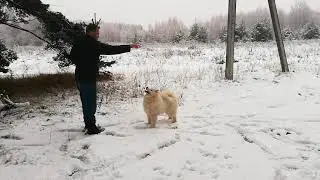 Король Лев - лучший!