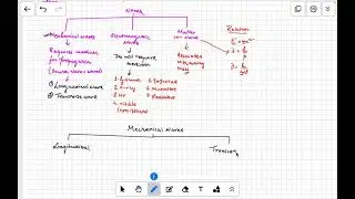 Waves | Class XI | Lecture 1 | Introduction