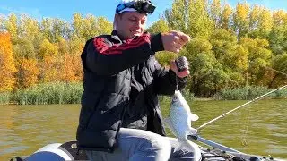 Fishing in Astrakhan on a feeder in October Fishing for crucian carp and white bream with a worm