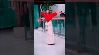 Jerusalema Remix _ Crane Dance - Teacher Yongji #shorts