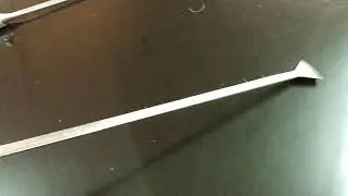 Китовые хвосты из Белоруссии.