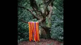 James Holden & The Animal Spirits - Spinning Dance