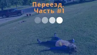 Переезд. Часть #1.