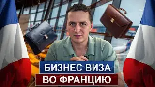 Деловая бизнес виза во Францию // Какие плюсы и минусы?