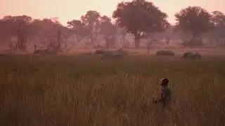 Natucate - Okwa Sarefo