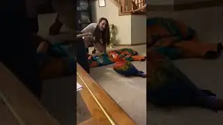 This parrot deserves an Oscar😂🦜 #parrot #cute #funny