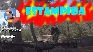 La estampida!!!