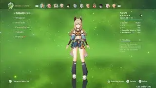 Big Kirara Damage