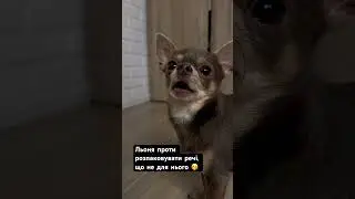 12 лютого 2024 р.