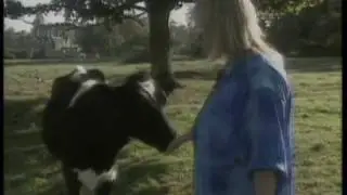 Linda's Home Cooking Part 4