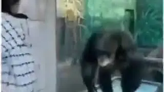kim kimni axmoq qildi topsiz kament yozeng