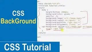 Background Property in CSS | Background Image | Background Color | CSS Tutorial
