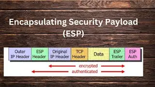 IP Sec Fundamentals    ESP Tunnel and Transport Mode
