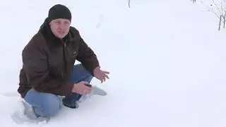 КАК ПОНУДИТЬ АДМИНИСТРАЦИЮ ПОЧИСТИТЬ ДОРОГУ ОТ СНЕГА? Советы Особо Опасного Юриста