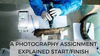 Breaking Down A Real Life Photography Assignment