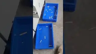 станок для сортировки палочек