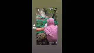 Спроси как у неё дела? Юмор.