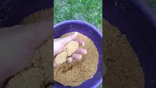 🐟ПРИКОРМА НА ЛЕЩА! 