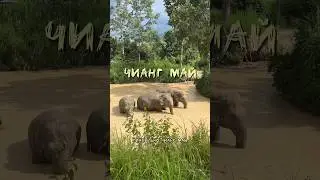 Продолжение в ТТ anna_zhilina_life