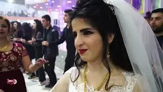 Beşa (5) Aras ♡ Evîn
