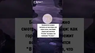 жиза 😂