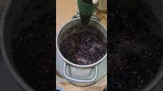 Домашнее вино ИЗАБЕЛЛА 