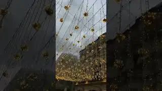 10 мая 2024 г.