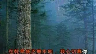 曠野中的讚美