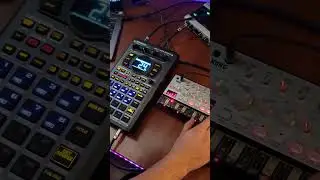 Just create a Acid House Track with the SP 404 and a bass synth 