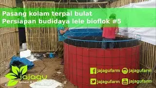 Persiapan Budidaya Lele Bioflok #5 | Pasang Kolam Bulat | Jajagu