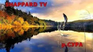 Русская рыбалка 4. В 16.00 мск тур чехонь  р.Сура!!! 1 место -фидер Wingate FF120H(33.5 кг)