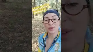 Хроніки білки звичайної