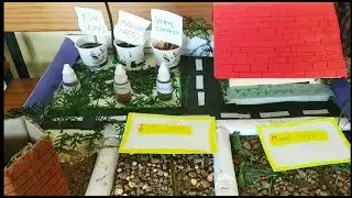 Science Project (Model) Ideas On the topic of Agriculture and Organic Farming for school students