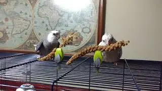 What ya doing?