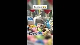 Кот в автомате игрушек
