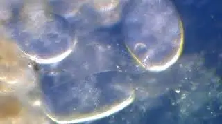 DSCN0173