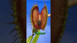 Are Our Plants Sick? 