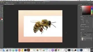 Masking and transformation