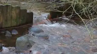Beautiful River Water | Natural Sea | Creative Commons Video