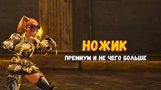 Lineage 2 main. Я у мамы Даггер