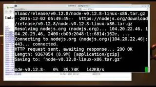 Install Nodejs  for any Linux distribution