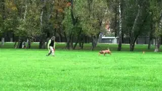 Бакурова Елена АСТ Ульман