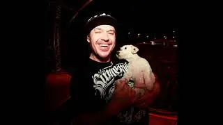 Como Num Sonho Perfeito - CHORÃO (Charlie Brown Jr.) IA