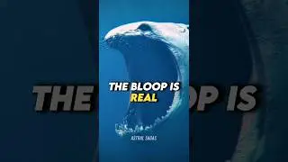 The Bloop Is Real!